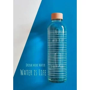 Carry Glastrinkflasche 700 Ml Water Is Life 6